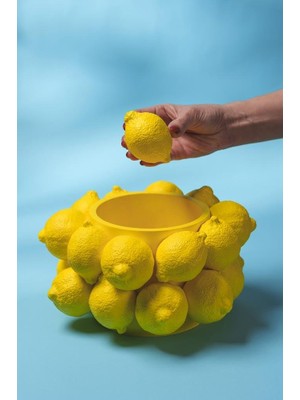Asitan Limon Yatay Silikon Mum Kalıbı