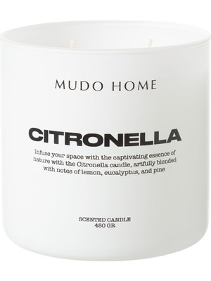 Asitan Cıtronella Mum 480GR