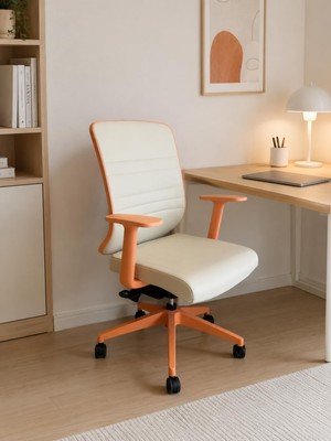 Asitan Spark Fine Ofis Sandalyesi Sırt Ergonomik Çalışma Koltuğu