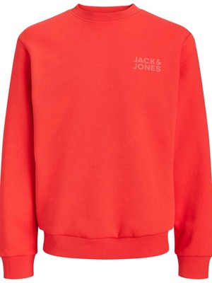 Jack & Jones Jorlogo Erkek Bisiklet Yaka Logolu Sweatshirt Rahat Günlük
