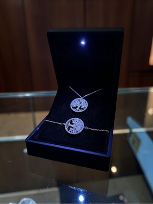 Anka Mücevherat Işıklı Kutuda 925 Ayar Gümüş Hayat Ağacı Kadın Set