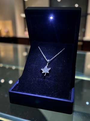 Anka Mücevherat Işıklı Kutuda 925 Ayar Gümüş Yaprak Kadın Kolye
