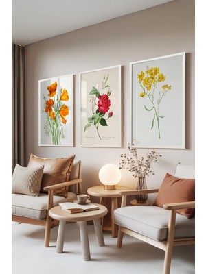 1001 Beyaz Çerçeveli 3’lü Tablo Seti Botanik Çiçekler – Renkli Eskiz Salon Set 30125, 70 x 100