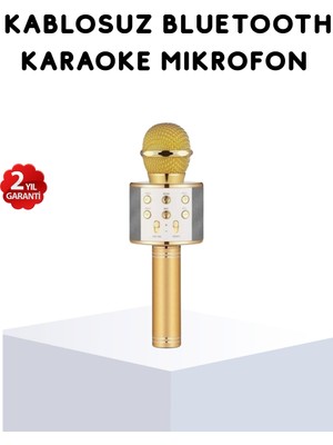 Karaoke Mikrofonu Bluetooth USB Aux Girişli Yankı Efektli - Lisinya