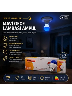 İlk El Grup 10 Adet 1W E27 Mavi Yuvarlak Gece Lambası LED Ampul EAMP-075