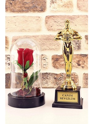 Hace Bazaar Canım Sevgilim Oscar Ödülü ve LED Işıklı Fanus Gül Seti