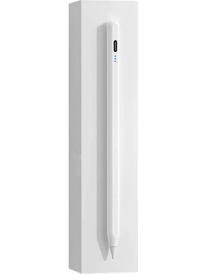 Ankaverse Ally Ipad 2018 ve Sonrası Dijital Palm Rejection Avuç I��i Reddi Eğim Ayarlı Manyetik Stylus KALEM-(5775)
