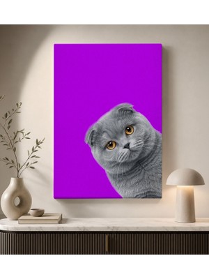 Bk Gift Mor Fonlu Gri Scottish Fold Kedi Portresi Sevimli Minimalist Modern Kanvas Duvar Tablosu 50X70 cm
