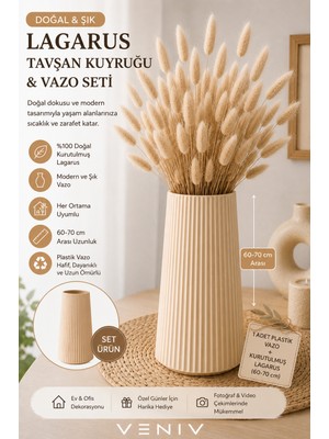 Veniv Lagarus Tavşan Kuyruğu & Plastik Vazo Seti | 60-70 cm | Doğal Kuru Çiçek Dekorasyonu