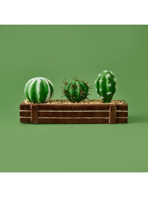Moontime Alaçatı Mini Kasada Kaktüs - Kahverengi - 8X21 cm
