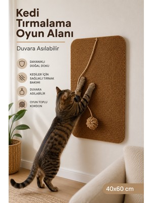 Minuz Duvara Yapışan Oyuncaklı Kedi Tırmalama Halısı ve Oyun Alanı 40X60 cm