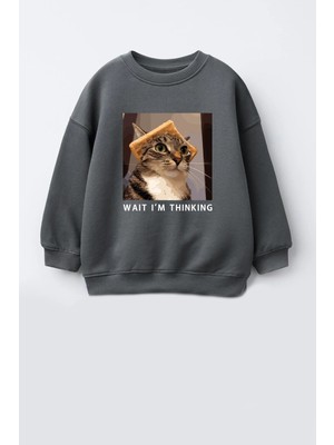 Monila Erkek Çocuk 3 Iplik Kumaş Kedi Baskılı Pamuklu Sweatshirt