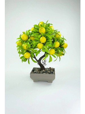 Moontime Alaçatı Dekor Ağaç Limon Ağacı Saksılı Dekoratif Ağaç Biblo 24X13 cm