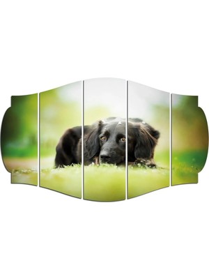 Moontime Alaçatı Köpek Mdf Tablo 2655 (Model C)