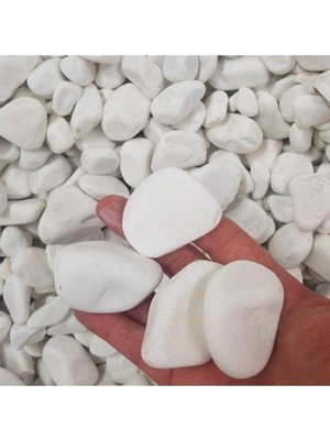 Asenya Beyaz Dolomit Taş 30 kg 2,5-4 cm Dere Çakıl Taşı Bahçe Süs Taşı Saksı Teraryum Taş