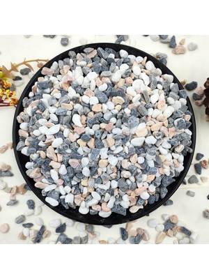 Asitan 2 Lb Etli ve Kaktüs Çakıl Taşları, 1/5 Inç Doğal Dekoratif Cilalı Taşlar, Vazolar, Akvaryu