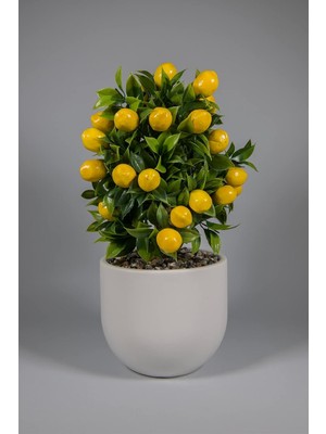 Beton Saksıda Yapay Limon Ağacı (Beyaz)