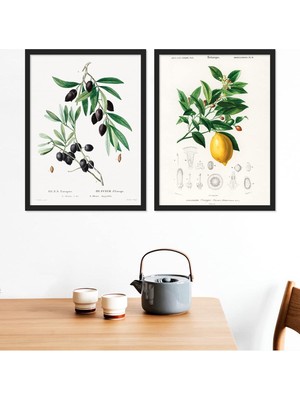 Zeytin - Limon Ahşap Çerçeveli Tablo Set 30X40 cm