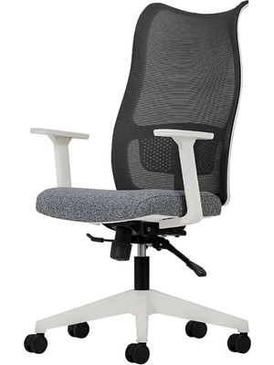 Lucas Çalışma Koltuğu, Gri Fileli Sırt ve Beyaz Gövde Ofis Sandalyesi, Sabit Kollu Ergonomik B