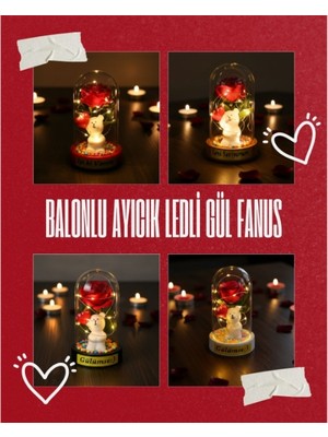 Poebgo Familys Balonlu Ayıcık Ledli Gül Fanus