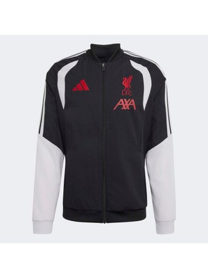 Adidas KB5769 Lfc Pre Jkt