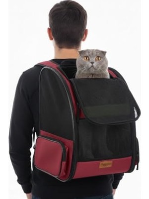 Aydogan's Pugalo Airmove Premium Kedi Köpek Taşıma Çantası, Silinebilir, Yırtılmaz Fileli, Bükülmez Gövde, Sırt Çantası Tipi (Siyah)