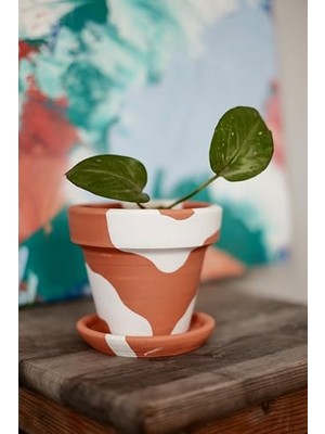 Aydogan's Terracotta Konik Saksı+Tabak • Bohem Beyaz (Küçük)
