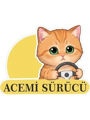 Aydogan's Parti Tasarla Acemi Sürücü Sevimli Kedi Araba Etiketi & Sticker Çok Renkli