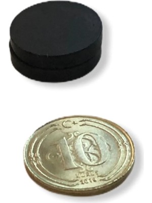 Moontime Alaçatı 17X3MM Çok Amaçlı Mıknatıs Süsleme Deney Mıknatısı 1000 Adet