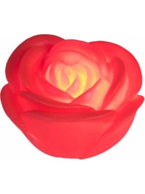 ALK LED Işıklı Gül Romantik Gül
