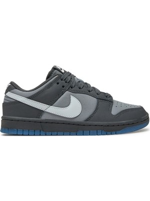 Nike Nıke Dunk Low Kadın Ayakkabı FV0384-001