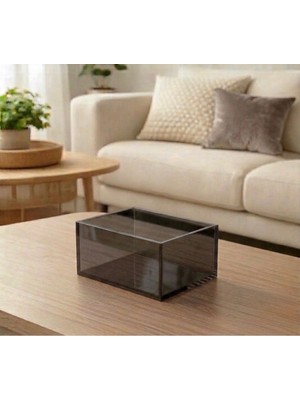 Trend Pleksi Çok Amaçlı Transparan Füme Pleksi Kutu (20CM x 15CM x 10CM)