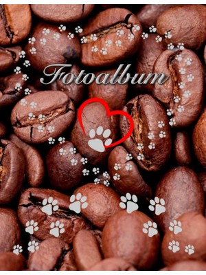 Ozka Concept Independently Published Fotoalbum Für Hunde Katzen Haustiere Geschenkidee Hundeliebhaber Katzenlieb