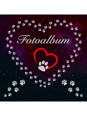 Ozka Concept Independently Published Fotoalbum Für Hunde Katzen Haustiere Geschenkidee Hundeliebhaber Katzenlieb