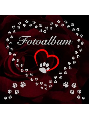 Ozka Concept Independently Published Fotoalbum Für Hunde Katzen Haustiere Geschenkidee Hundeliebhaber Katzenlieb