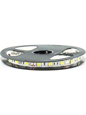 Ozka Concept Cata CT-4480 3 Çip Şerit LED Iç Mekan, Beyaz, 5 M