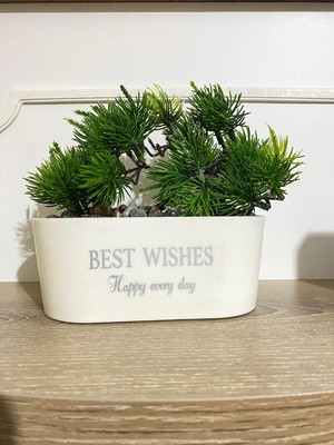Ozka Concept Dekoratif Yapay Bonsai Ağacı - Taşlı "best Wishes" Yazılı Gri Oval Saksıda Mini Çam Ağacı, Ev, O