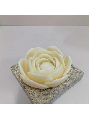 Moontime Alaçatı Çiçek 3 Lü Beyaz Renk Mum Candle