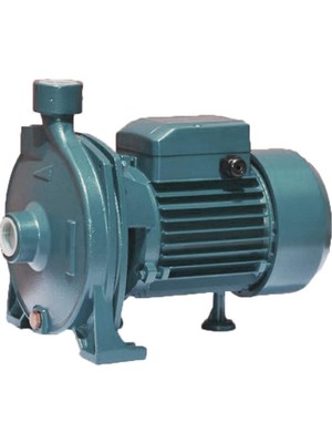 Rbt Robustech CPM158 750W Elektrikli Su Pompası