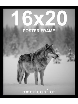 Americanflat Siyah 16X20 Resim Çerçevesi - Parlak Pleksiglaslı Ince Bordürlü Fotoğraf Çerçevesi - Yatay Veya Dikey Görüntü Formatı Için Asma Donanımlı Duvar Resim Çerçevesi