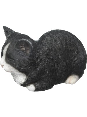 Hi-Line Gift Ltd Geschenk Statue, Schlafende Katze, Schwarz/weiß