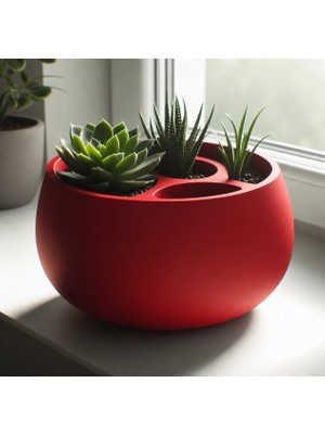 Bezos 3D Baskı 3lü Sukulent Saksısı Kalemlik Organizer - Dekoratif Masaüstü Bitki Saksısı-Kırmızı
