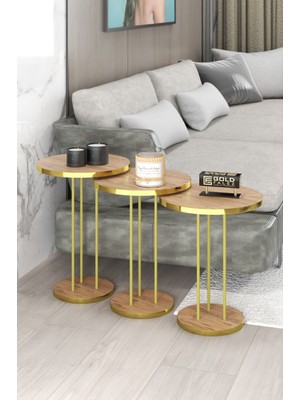 Ulu Pazarlama Gold Terra Zigon Ceviz Kahverengi 3'lü