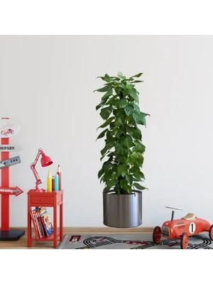 Saksılı Bitki Tasarımlı Yapışkanlı Sticker Resim 90*30 cm MC-665