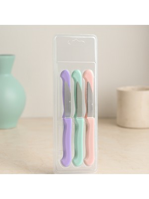 Aslanoğlu Store 6'lı Paslanmaz Çelik Meyve Bıçağı - Renkli Saplı