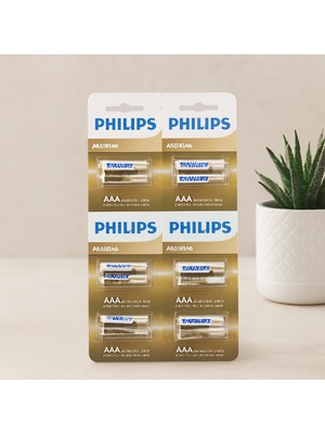 Aslanoğlu Store Alkalin Aaa (1.5V) Ince Pil 24'lü Paket