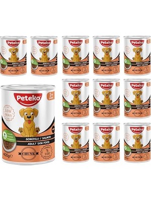 Esranın Dünyası Yetişkin Köpek Somonlu ve Jöleli Konserve  400 gr x 12 Adet