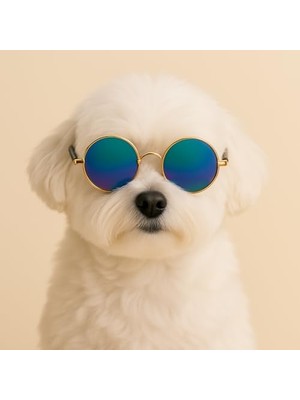 Esranın Dünyası Retro Yuvarlak Evcil Hayvan Güneş Gözlüğü, Altın Metal Çerçeve, Renkli Lens, Kedi ve Köpekler Için Moda Aksesuarı (Ebruli)