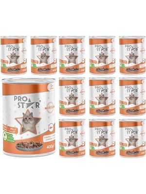 Esranın Dünyası Yetişkin Kedi Somonlu ve Jöleli Konserve  400 gr x 12 Adet