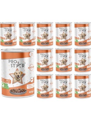 Esranın Dünyası Yetişkin Köpek Somonlu ve Jöleli Konserve  400 gr x 12 Adet